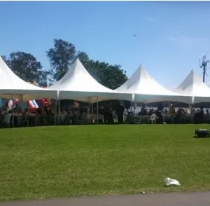 Marquee Event Hire By Inventiva Creative Studio 5mx20m Spring Top.jpg